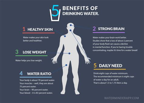 5 benefits of drinking water infographic – Hydration Tips