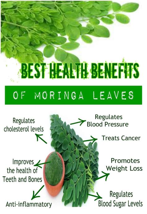 Know The Benefits Of Moringa Leaves! - By Dr. Tamanna Narang | Lybrate