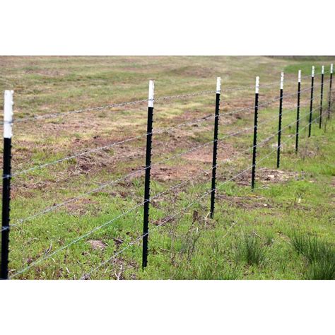 Shop 72-in Green Metal T-Post at Lowes.com | Farm fence, Fence options ...