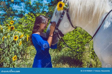 Animals and People Concept, Hobby, Horses Stock Image - Image of head ...