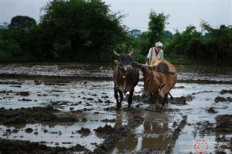 Agricultural labourers and farmers in India