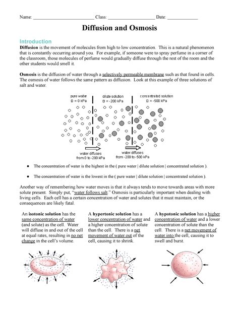 Osmosis and Diffusion Worksheet - Name ...