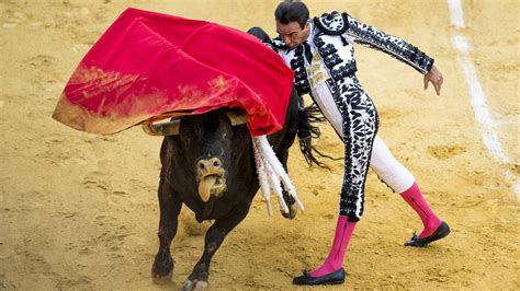 What Really Happens At A Bullfight?