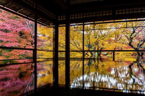 Is Rurikoin Temple in Kyoto Worth a Visit? | TiptoeingWorld