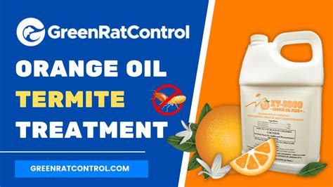 Orange Oil Termite Treatment Reviews -GreenRatControl