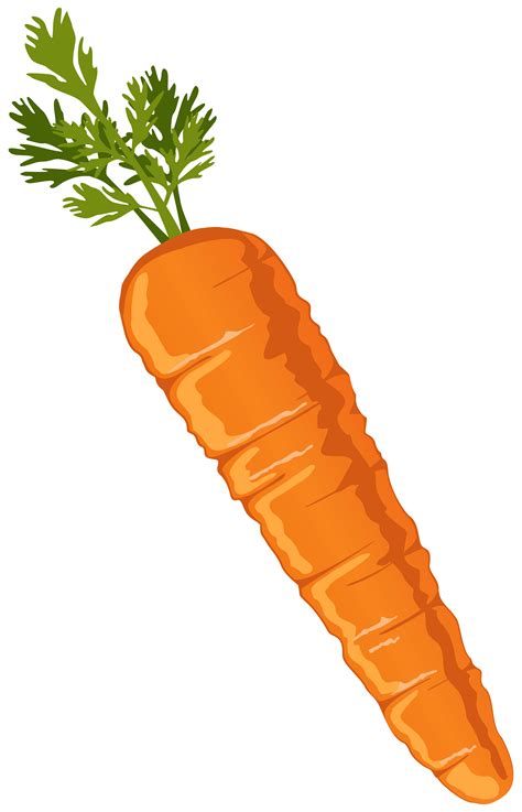 Free Orange Carrot Cliparts, Download Free Orange Carrot Cliparts png images, Free ClipArts on ...