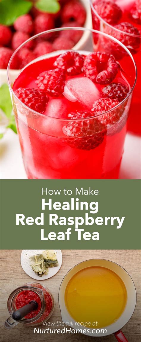 How to Make Iced Red Raspberry Leaf Tea (For Maximum Benefit!) - Nurtured Homes