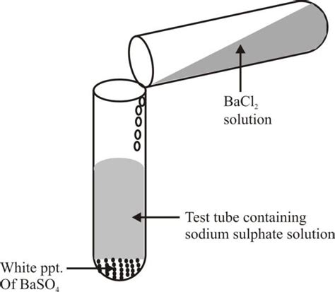 Double Displacement and Reactions - Physics Wallah