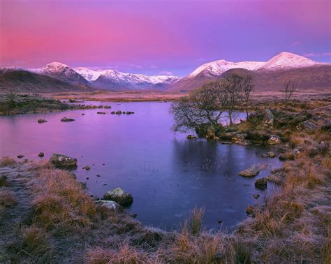 Plumrise Rannoch | Rannoch Moor, Glencoe, Scotland | Transient Light