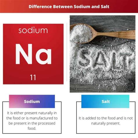 Sodium vs Salt: Difference and Comparison