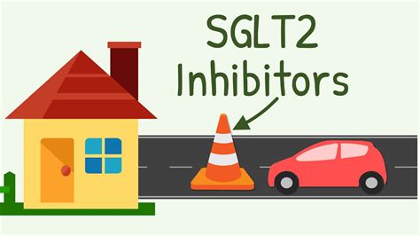 SGLT2 Inhibitors: Mechanism of Action