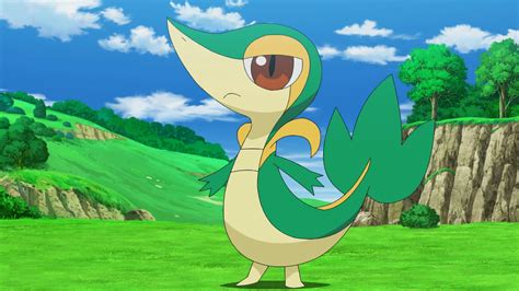 14 Facts About Snivy - Facts.net