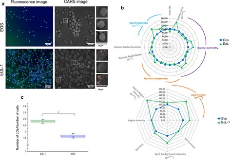 a Fluorescence (Hoechst nuclei—blue and BODIPY LBs—green, magnification... | Download Scientific ...