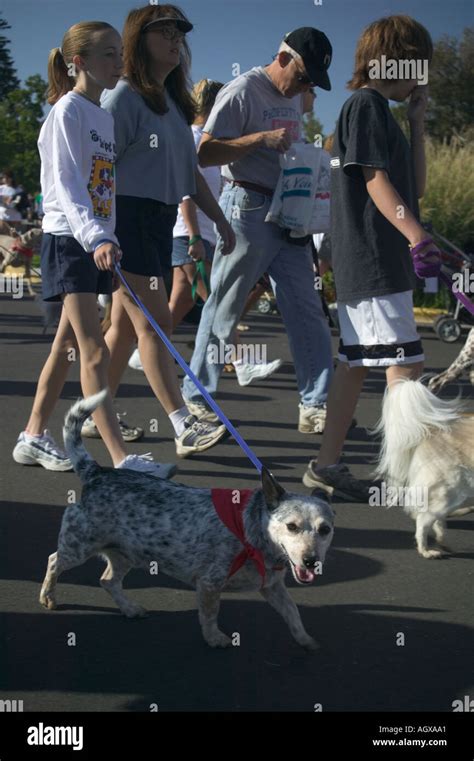 See Spot Walk dog walk festival in Boise Idaho Stock Photo - Alamy