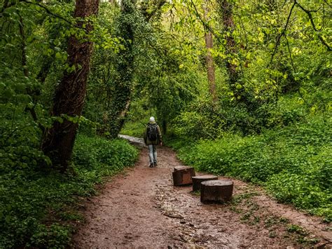 The circular Ebbor Gorge walk - She walks in England