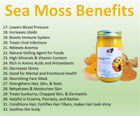 Sea Moss Health Benefits, Nutrition Facts & Warning – Eat Algae