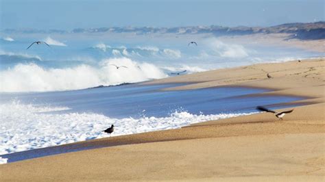 15 Top Beaches in Northern California | PlanetWare