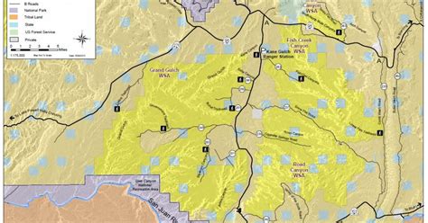 Cedar Mesa Map | Bureau of Land Management