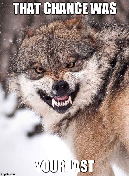 Angry Wolf - Imgflip