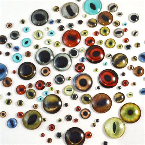 glass animal eyes | Glass animals, Glass eyeballs, Fantasy eyes art