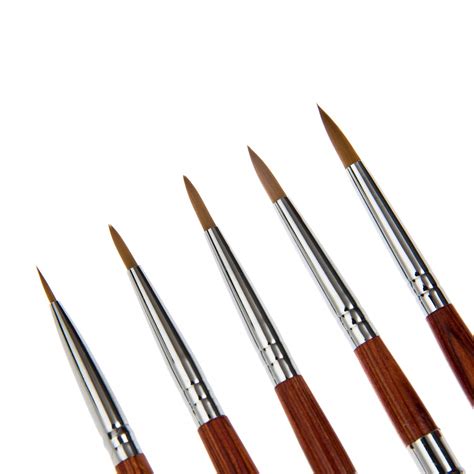 5pcs Watercolor Paint Brushes, Round Brush set for Watercolor Oil Painting | eBay