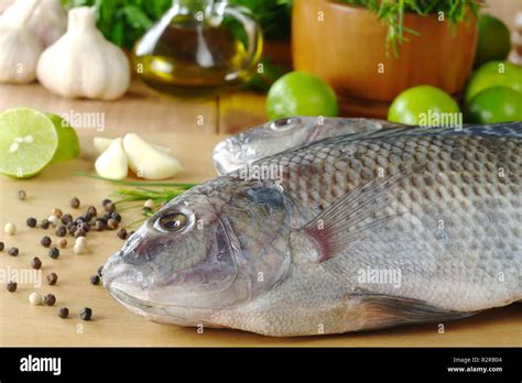 Operculum fish hi-res stock photography and images - Alamy