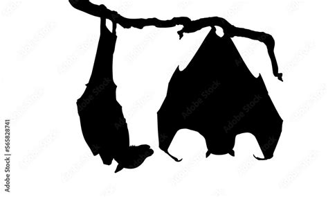 Sleeping Bat on the Branch Tree Silhouette for Halloween Poster, Art Illustration, Horror Movie ...