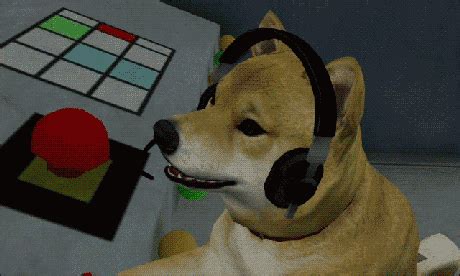 Dog Headphones GIF - Find & Share on GIPHY