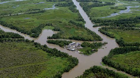 Resistance Grows To New Louisiana Bayou Bridge Pipeline