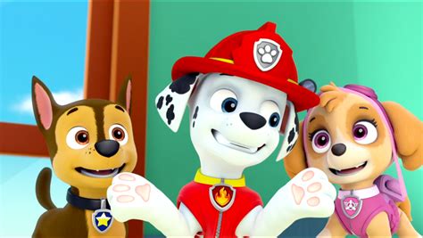 Skye - PAW Patrol - Skye - PAW Patrol Photo (40153988) - Fanpop - Page 69