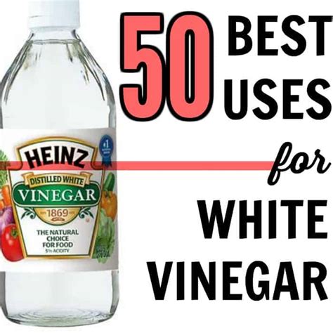 50 Best Uses for White Vinegar