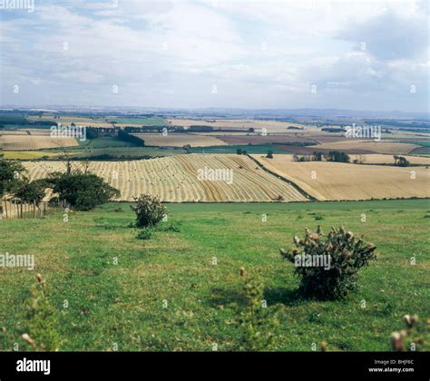 Flodden Field, site of Battle of Flodden 1513, Northumberland, 1994. Artist: John Critchley ...