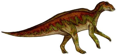 Hadrosaurus Dinosaur Facts - information about the dinosaur hadrosaurus