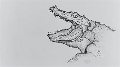 How To Draw Crocodile // Crocodile Face Drawing // Realistic Crocodile ...