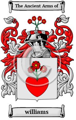 Williams Name Meaning, Family History, Family Crest & Coats of Arms, German