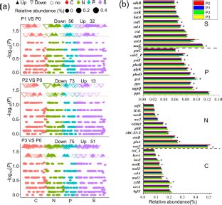 Community metagenomics reveals the processes of nutrient cycling ...