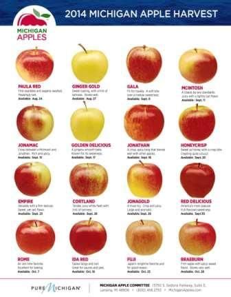 Current Crop | Michigan Apple Committee | Michigan, Apple, Apple harvest