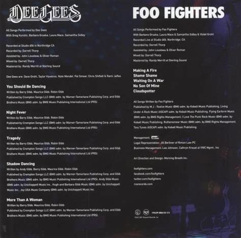 Foo Fighters Hail Satin - Metallic Sleeve - RSD 2021 UK vinyl LP album (LP record) (808916)