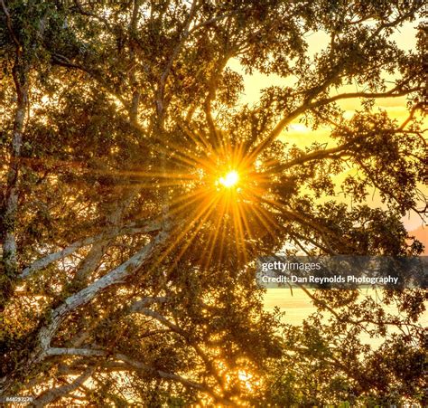 Smoky Mountain Sunrise High-Res Stock Photo - Getty Images