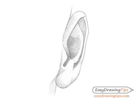 How to Draw an Ear From the Front Step by Step - EasyDrawingTips