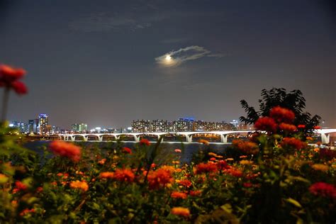 Han River Night View · Free photo on Pixabay