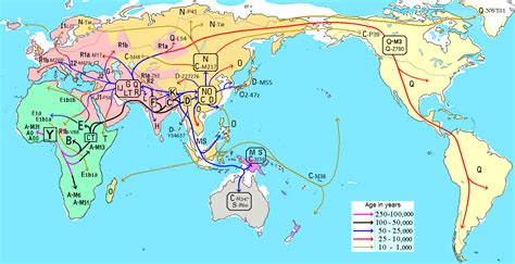 File:Migraciones humanas en haplogrupos de ADN-Y.PNG - Wikimedia Commons