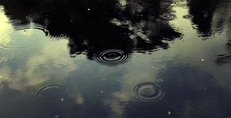 ripples water gif | WiffleGif