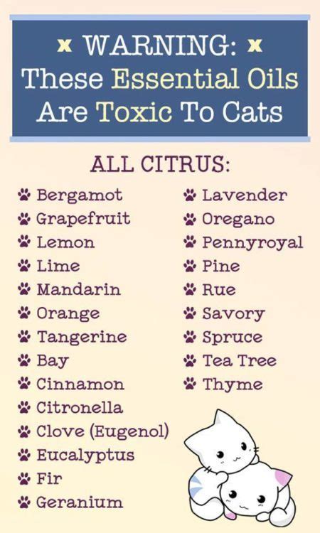 Warning – These 23 Essential Oils Are Highly Toxic To Cats | Holistic Pet Journal