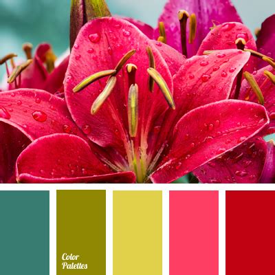 contrasting tones | Color Palette Ideas