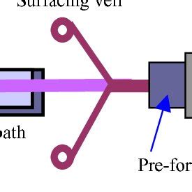 2 Schematic Diagram of the Pultrusion Process | Download Scientific Diagram