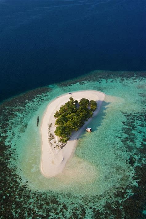 Maldives Island And Coral Reef by © Marie-ange Ostré