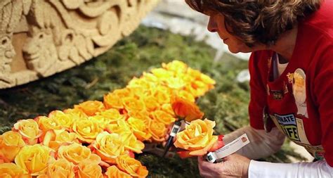 Want to Decorate Rose Parade Floats? Here’s What You Need to Know! – Pasadena Weekendr