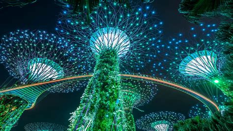 Singapore Light Show in Gardens by the Bay. Seampess Loop Stock Video Footage - Storyblocks