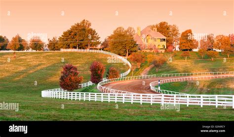 Kentucky Horse Farms